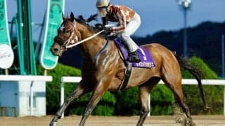 【佐賀・はがくれ大賞典】大井所属セイカメテオポリスが快勝…吉原「枠的には嫌なところに入ったと思っていた」