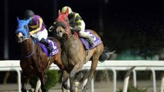 【水沢・あやめ賞】ミヤギシリウスが重賞初勝利…坂口「距離延びても問題ない」