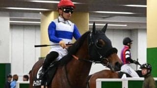 川田将雅騎手がJRA通算2017勝目で史上第8位に 増沢末夫元騎手の記録抜く