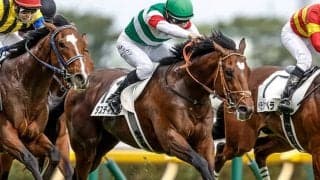 大阪杯とダービー卿CTの2重賞＆ドバイWCデー/今週の競馬界の見どころ