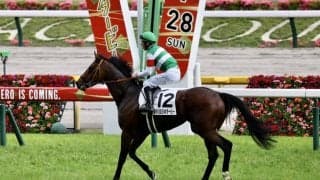 【大阪杯登録馬】ダービー馬タスティエーラなど20頭