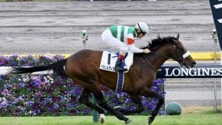 【ダービー卿CT】ディオ、パラレルヴィジョンなど17頭