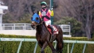 【日経賞】売上は33億512万2400円で昨年より約8.6億円減少