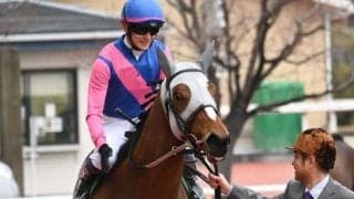 【毎日杯】売上は30億934万1800円で昨年より約8000万円増加