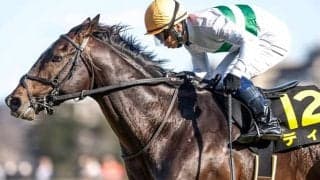 【ダービー卿CT想定騎手】ディオは北村宏司騎手、パラレルヴィジョンは戸崎圭太騎手