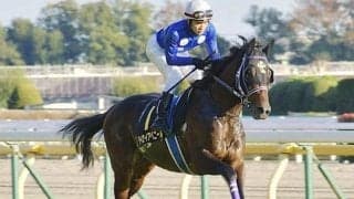 【先週のJRA抹消馬】芝短距離で活躍した古豪タイセイアベニール、オークス馬の仔ロンズデールベルトなど