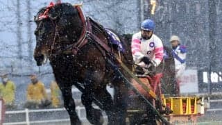 【ばんえい十勝】メジロゴーリキが引退、種牡馬入り…松井師「引退するのはもったいない」