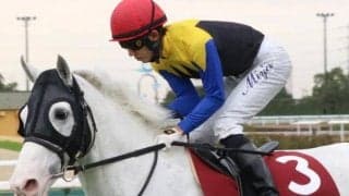 8歳古豪となった「白毛のアイドル」 大阪杯で史上5頭目の偉業にチャレンジ