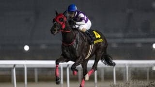 【黒船賞】サンライズホークは4枠4番