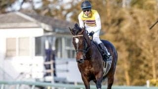 【ダービー卿CT展望】超大型馬が活躍するレースで、ニシノスーベニアに期待