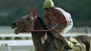 武豊騎手とハルウララがタッグ 20年前の黒船賞当日にあった“負けられない戦い”