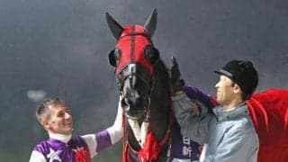【高知・黒船賞注目馬】かきつばた記念の再戦模様 サンライズホークのダートグレード競走4連勝は濃厚か