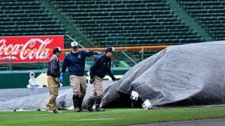 阪神園芸の「神整備」スタート　26日は2回戦2試合　センバツ