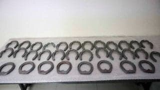 装蹄技術を3部門で審査 全国予選も兼ねて競技会