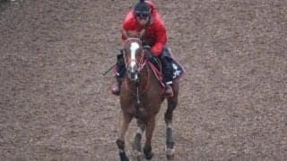 シンエンペラーなど、先週の入厩情報/栗東トレセンニュース