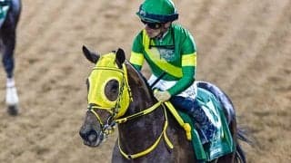 勝てばイクイノックス超え！ ウシュバテソーロが史上2頭目のドバイWC連覇へ