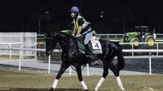 【ドバイWCデー】日本出走馬近況