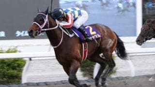 【黒船賞】シャマルが連覇…断然人気サンライズホークはまさかの11着