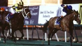 ドバイで勝利した初の日本馬「ステイゴールド」 仔や孫にも受け継がれる世界での強さ