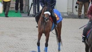 ステレンボッシュ、桜花賞1週前追い切り速報/栗東トレセンニュース