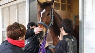 メイケイエールが競走馬登録抹消 今後はノーザンファームで繁殖馬に