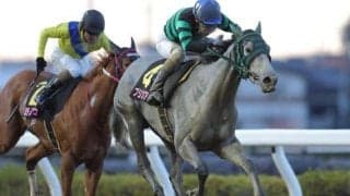 【浦和・桜花賞結果】プリンセスアリーが重賞初制覇 今月末で引退の岡田一男師にビッグタイトル