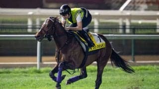 【ドバイWCデー】友道師「上がりも問題ありません…ドウデュースなど日本馬近況