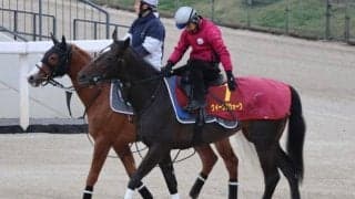 クイーンズウォーク、桜花賞1週前追い切り速報/栗東トレセンニュース