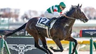 【大阪杯出走馬・騎手確定】タスティエーラ＆松山弘平騎手、ローシャムパーク＆戸崎圭太騎手など16頭