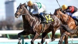 【ダービー卿CT出走馬・騎手確定】ディオ＆北村宏司騎手、パラレルヴィジョン＆戸崎圭太騎手など16頭