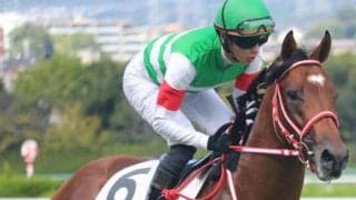 「GI・4勝リスグラシューの仔」や「ジャパンC覇者ショウナンパンドラの仔」 土曜阪神3Rに良血馬が勢ぞろい