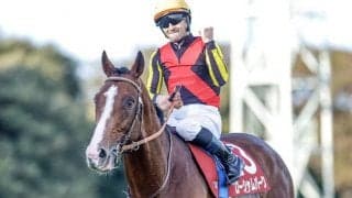 【大阪杯・調教後馬体重】ローシャムパークは524kg、タスティエーラは503kg