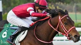 「ウマ娘」藤田晋オーナーのフォーエバーヤング 無傷の5連勝で米3冠へ弾みを