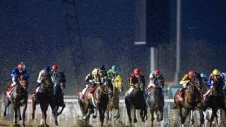 「ドバイ」ってどんなところ？ 現地で馬券発売はなし!? ドバイWCデーをより楽しむ豆知識