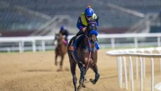 【ドバイWCデー】原優介「欲しい枠引けた」ウィルソンテソーロなど日本馬近況