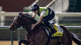 【武豊日記】今週はドバイへ