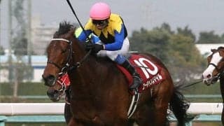 ユーキャンスマイルの競走馬登録抹消…9歳まで長きに渡って活躍