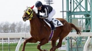 ホッカイドウ競馬で今年3回目の競走能力・発走調教検査 2歳馬33頭は無事全馬合格