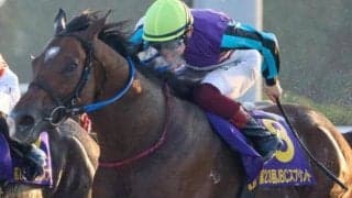 コスモバルク以来の快挙へ ドバイ国際競走に19年ぶり地方馬