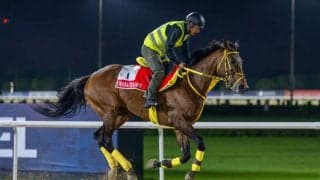 【ドバイWC】連覇を狙うウシュバテソーロは5番ゲートへ