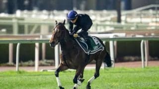 【ドバイシーマクラシック】リバティアイランドは9番ゲートから