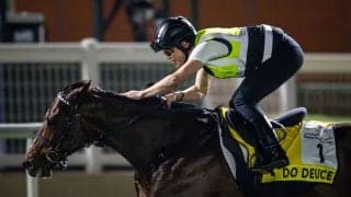 【ドバイターフ】武豊ドウデュースは4番ゲート