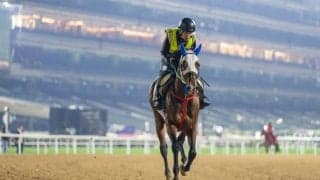 【ドバイGS】笹川翼騎乗、イグナイターは1番ゲートへ