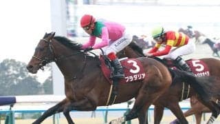 大阪杯に強い「母の父クロフネ」の血　本格化した５歳牡馬とGⅠ牝馬が「祖父の誕生日」を勝利で祝うか