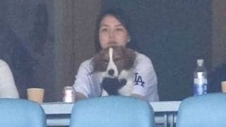 大谷翔平の本拠地デビューでデコピンがVIP待遇　真美子夫人と観戦…入場パスも受け取る