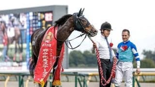 名牝ヴィルシーナの仔ディヴィーナが競走馬登録抹消 今後はノーザンファームで繁殖入り