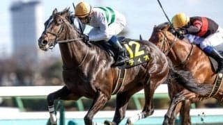 【ダービー卿CT枠順確定】ディオは4枠7番、パラレルヴィジョンは1枠2番