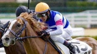 ドバイ遠征中の兄マテンロウスカイにエールを 土曜中山5Rで弟が初勝利狙う