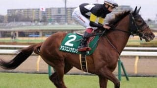 中山芝はBコース替わりで内有利 ダービー卿CTは内枠の道悪巧者に注意