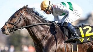 兄は現役トップマイラー ディオがダービー卿CTで兄弟重賞V狙う